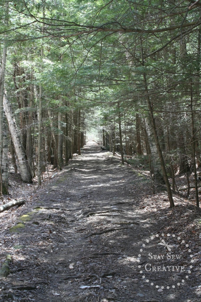 Wider, flatter section of trail to Lye Brook Falls in Manchester, VT