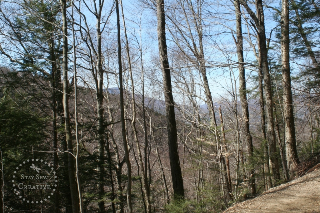 Mountain views from Lye Brook Falls Trail in Manchester, Vermont