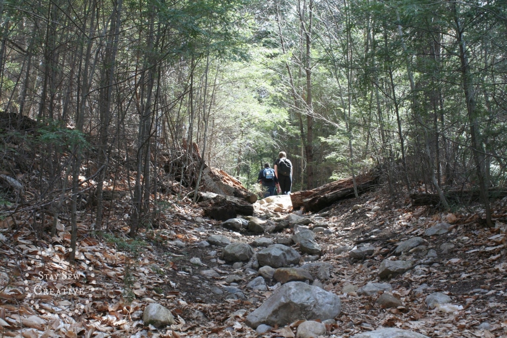 Rocky section of Lye Brook Falls Trail in Manchester, VT