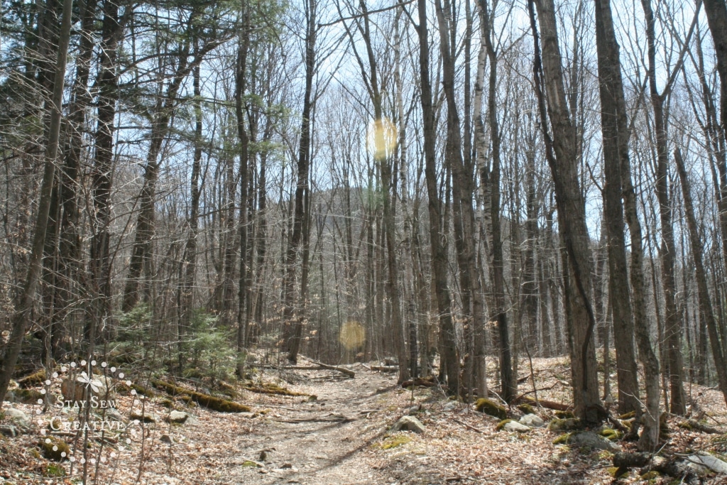 Nice mountain views through the trees on Lye Brook Falls Trail