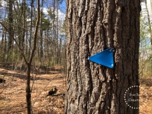 Blue triangle marking trail