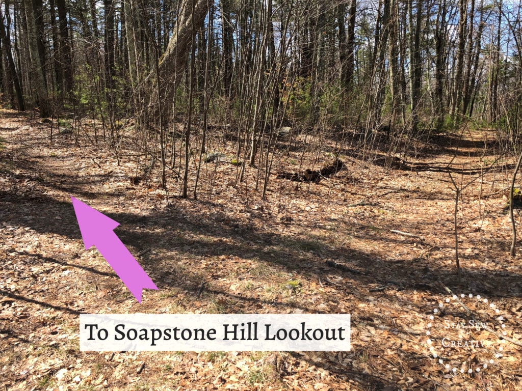 Path to Soapstone Hill Lookout