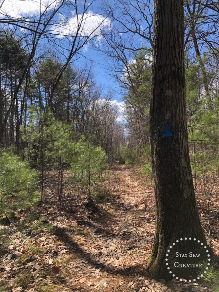 Trail to lookout