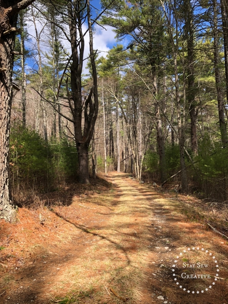 Grassy road